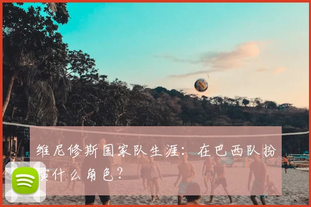维尼修斯国家队生涯:在巴西队扮演什么角色?
