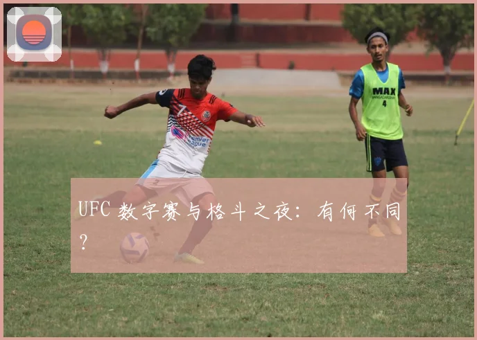 UFC 数字赛与格斗之夜:有何不同?